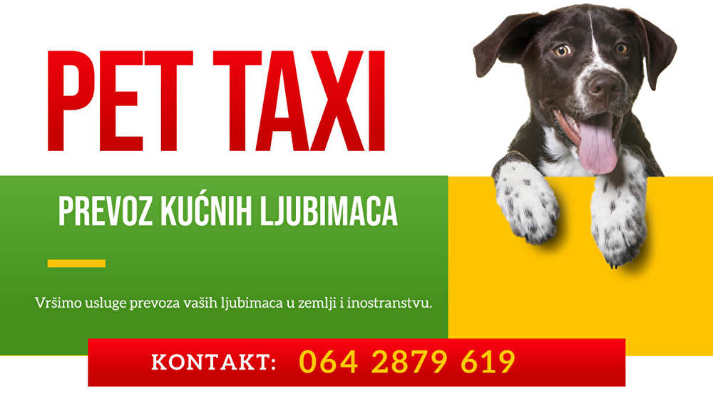 pet_taxi.jpg